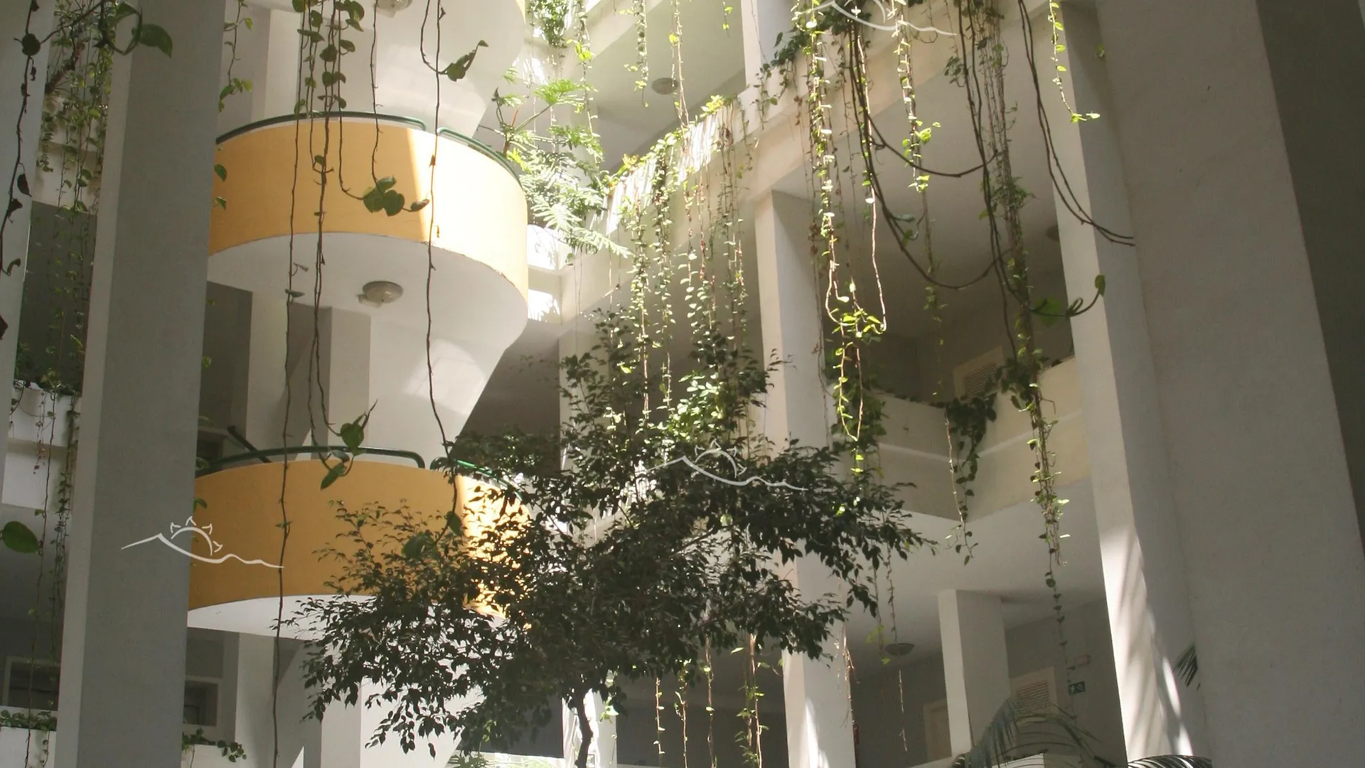 Apartament Bahia Playa Puerto de la Cruz